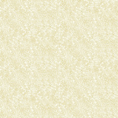 York Wallcovering Champagne Dots Wallpaper Gold/White