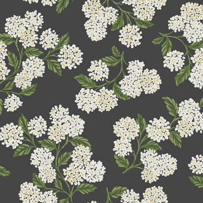 York Wallcovering Hydrangea Wallpaper Black/White