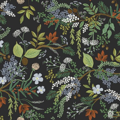 York Wallcovering Juniper Forest Wallpaper Black