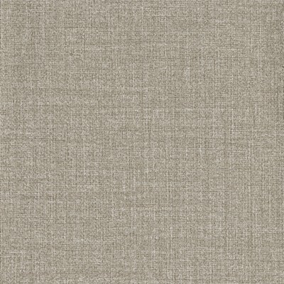 York Wallcovering Filament Wallpaper taupe, white