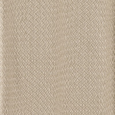 York Wallcovering Twining Wallpaper metallic rose gold