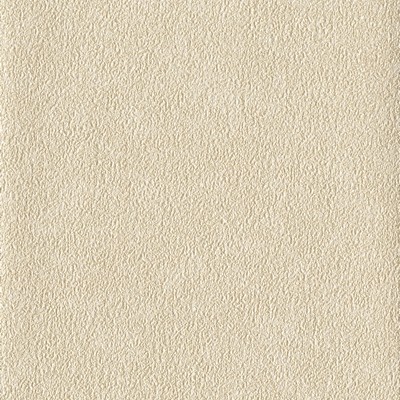 York Wallcovering Fossil Wallpaper White/Off Whites
