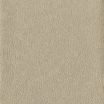 York Wallcovering Fossil Wallpaper Metallics