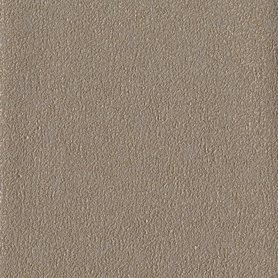 York Wallcovering Fossil Wallpaper Metallics