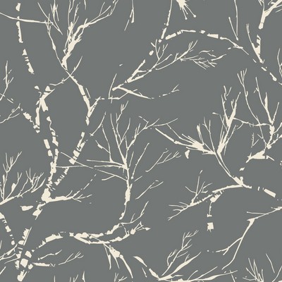 York Wallcovering White Pine Wallpaper - Dark Gray Blacks