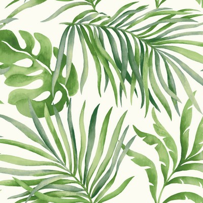 York Wallcovering Paradise Palm Wallpaper Green