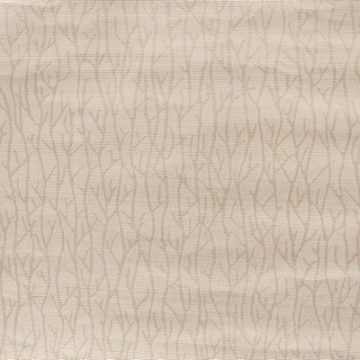 York Wallcovering Sea Branch Wallpaper Cream Pearl