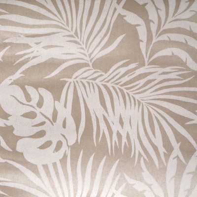 York Wallcovering Paradise Palm Wallpaper Beige