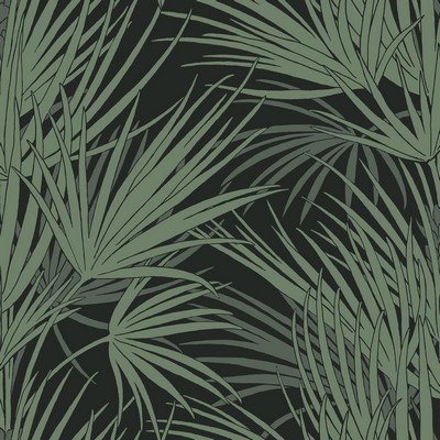 York Wallcovering Palmetto Wallpaper Black/Green