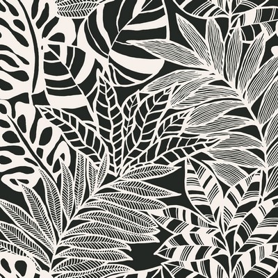 York Wallcovering Jungle Leaves Wallpaper Black/White
