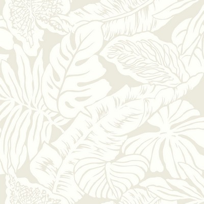 York Wallcovering Valdivian Wallpaper  White/Off Whites