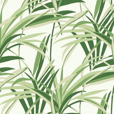 York Wallcovering Tropical Paradise Wallpaper Green/White
