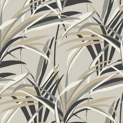 York Wallcovering Tropical Paradise Wallpaper Taupe