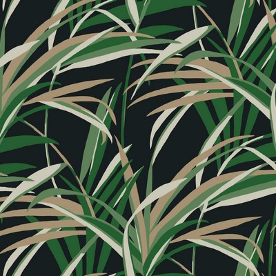 York Wallcovering Tropical Paradise Wallpaper Green/Black