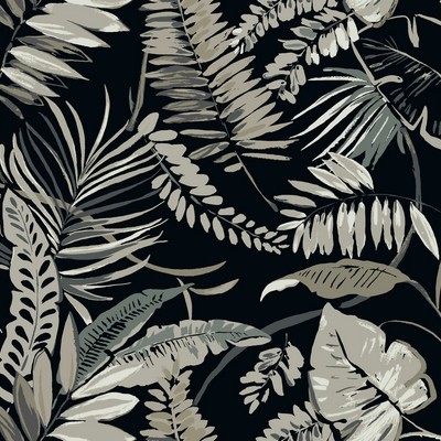 York Wallcovering Tropical Toss Wallpaper Black