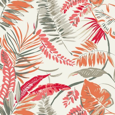 York Wallcovering Tropical Toss Wallpaper Coral/Beige