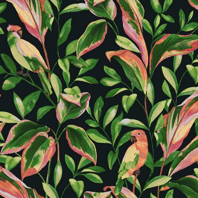 York Wallcovering Tropical Love Birds Wallpaper Black