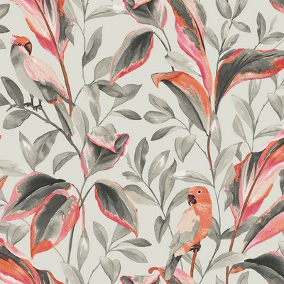 York Wallcovering Tropical Love Birds Wallpaper Gray