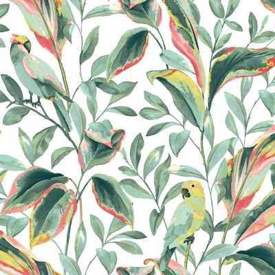 York Wallcovering Tropical Love Birds Wallpaper White/Coral