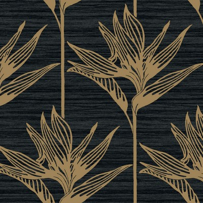 York Wallcovering Bird Of Paradise Wallpaper Black/Gold