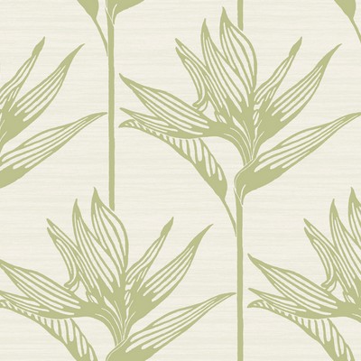 York Wallcovering Bird Of Paradise Wallpaper Green