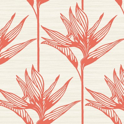 York Wallcovering Bird Of Paradise Wallpaper Coral