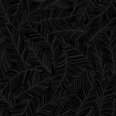 York Wallcovering Rainforest Canopy Wallpaper Black