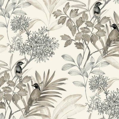 York Wallcovering Handpainted Songbird Wallpaper Gray