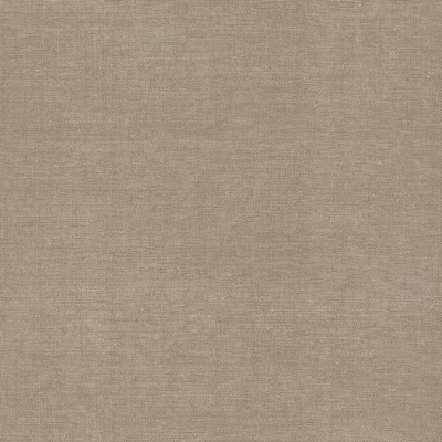 York Wallcovering Silken Grasses Wallpaper Glint