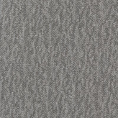 York Wallcovering Dot Dash Wallpaper Black