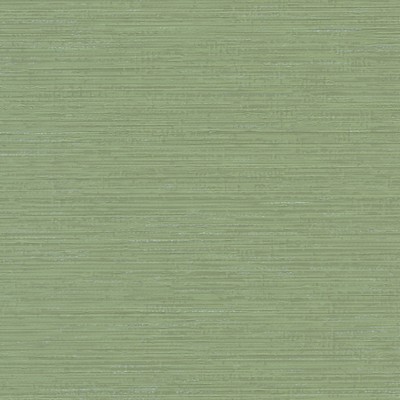 York Wallcovering Fine Line Wallpaper Green