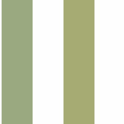York Wallcovering Two Color Wide Stripe Wallpaper Greens