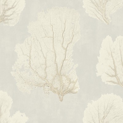 York Wallcovering Coral Couture Wallpaper Tan