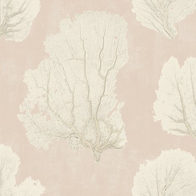 York Wallcovering Coral Couture Wallpaper Pink 
