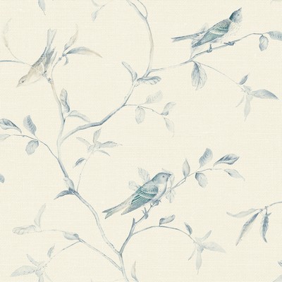 York Wallcovering Birds of a Feather Wallpaper  Blues