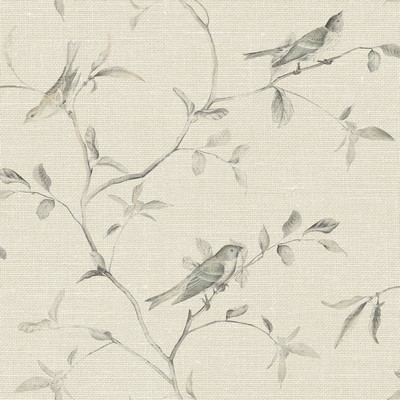 York Wallcovering Birds of a Feather Wallpaper  Beiges