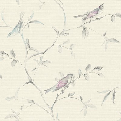 York Wallcovering Birds of a Feather Wallpaper  Browns