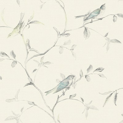 York Wallcovering Birds of a Feather Wallpaper  Blues