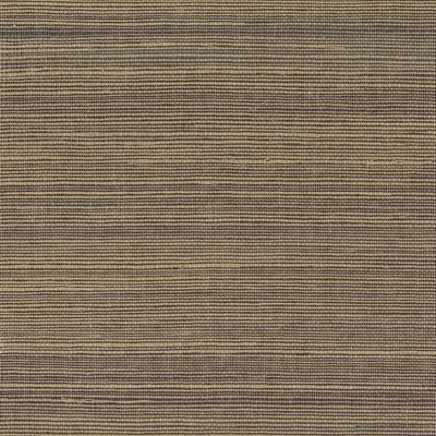 York Wallcovering Multi Grass Wallpaper Blacks