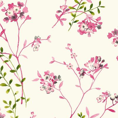 York Wallcovering Soft Blossoms 14 PINK/LIME/GRAY