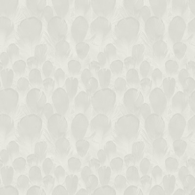 York Wallcovering Feathers Wallpaper White