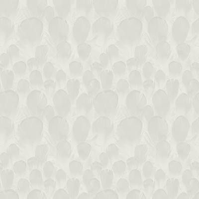 York Wallcovering Feathers Wallpaper White