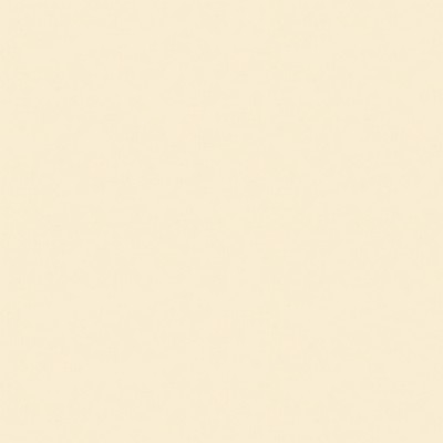 Brunschwig & Fils  CHEVALIER WOOL IVORY