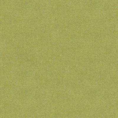 Brunschwig & Fils  CHEVALIER WOOL LEAF