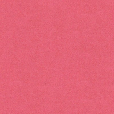 Brunschwig & Fils  CHEVALIER WOOL BLOSSOM