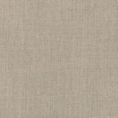 Silver State Cast  Ash