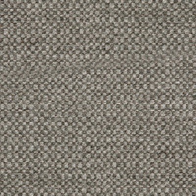 Silver State Action  Ash