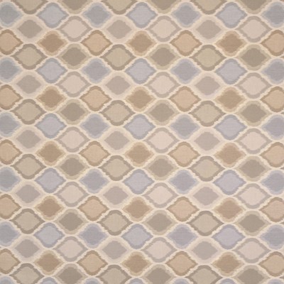 Silver State Empire Dove