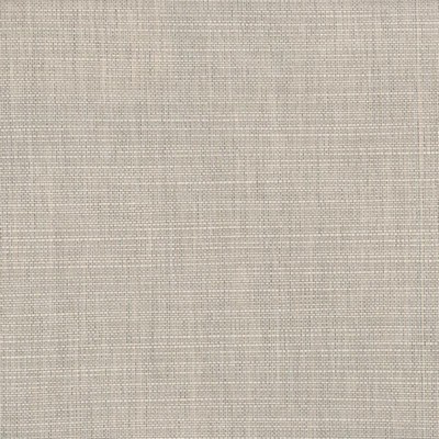 Silver State Echo  Ash