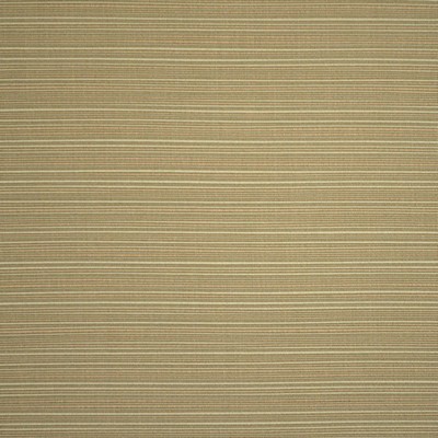 Silver State Dupione Aloe